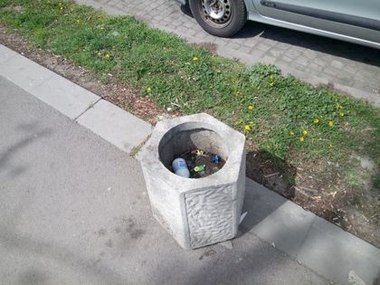 Нова форма на живот в Пловдив – боклукът цъфна