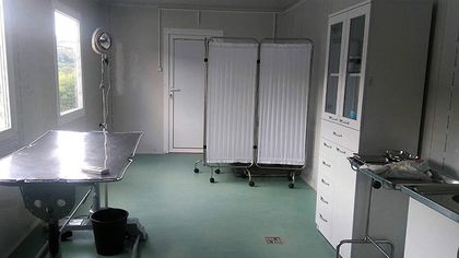 Велико Търново: 121 кучета и 136 котки са кастрирани и обезпаразитени в общината