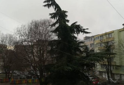 Апокалипсис във Варна! Времето в Морската столица се побърка (СНИМКИ)
