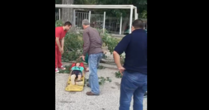 ЕКСКЛУЗИВНО ВИДЕО: Огромен клон се стовари върху главата на дете в Пловдив