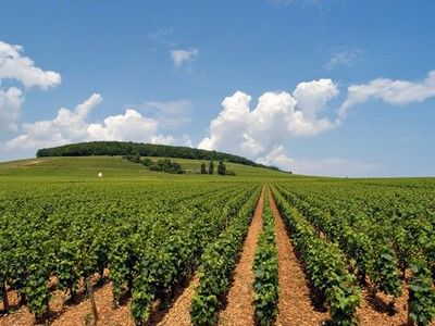 Информационна кампания на МЗХ в Област Пловдив