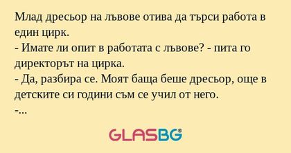 Млад дресьор на лъвове отива да...