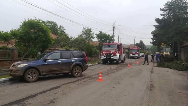 Слез бурята: Паднали дървета, залети ниви и спряна жп линия (ОБЗОР)