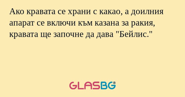 Ако кравата се храни с какао, а...