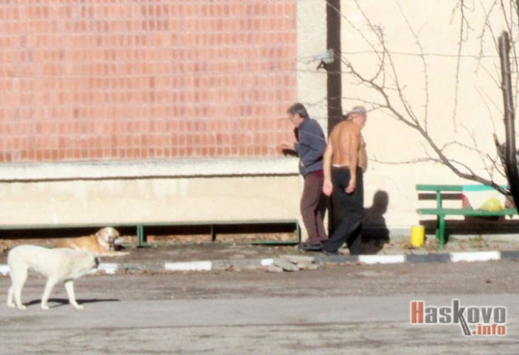 Зима ли? Хасковлия събира тен навръх Коледа