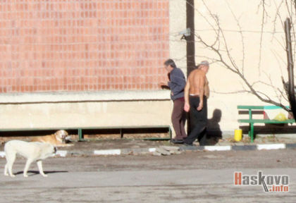 Зима ли? Хасковлия събира тен навръх Коледа
