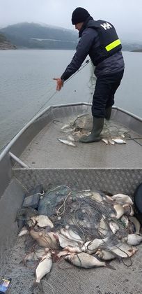 Редица нарушения са установени при серия от проверки на инспекторите на Изпълнителната агенция по рибарство и аквакултури в страната