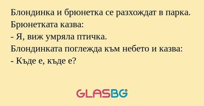 Блондинка и брюнетка се разхождат...