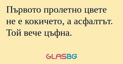 Първото пролетно цвете не е кокичето...