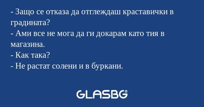 Защо се отказа да отглеждаш краставички...