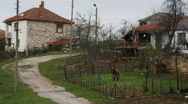 Истории от Северозапада