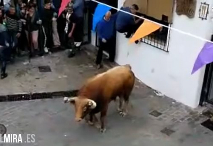 Трагедия в Испания: Бик уби мъж на фестивал (СНИМКИ/ВИДЕО 18+)