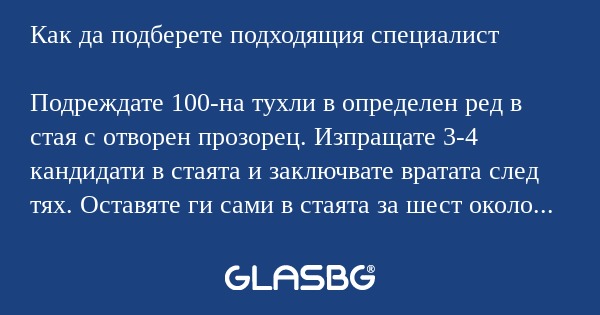 Как да подберете подходящия специалист...