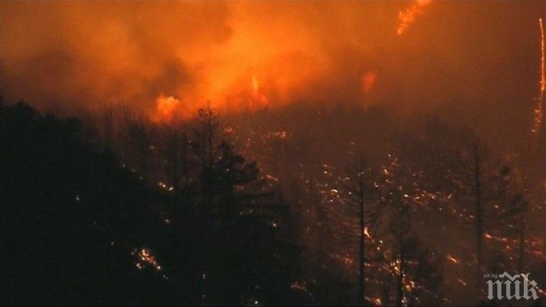 Жертвите на пожарите в Калифорния станаха девет