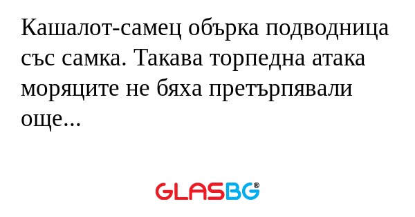 Кашалот-самец обърка подводница...