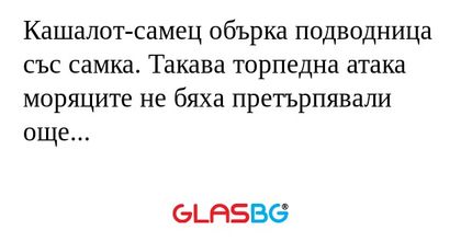 Кашалот-самец обърка подводница...