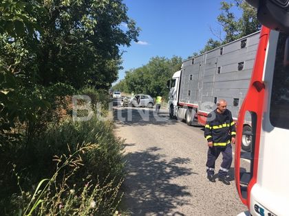 СМЪРТ НА ПЪТЯ! Два трупа след жестока катастрофа край Враца (СНИМКИ 18+)