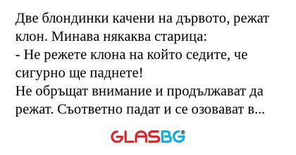 Две блондинки качени на дървото...