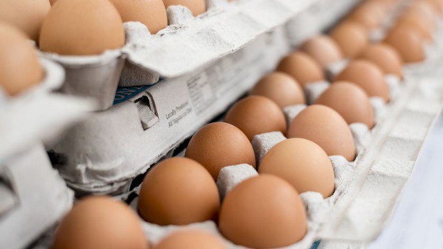 Откриха 250 000 отровни яйца в Пловдив