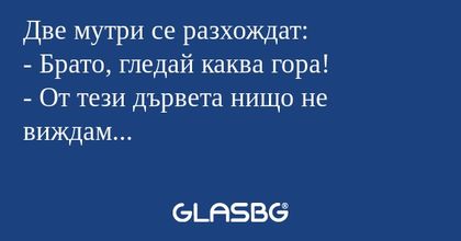 Две мутри се разхождат: - Брато...