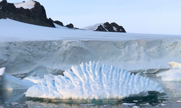 В Антарктида на -22°C: Плуване в ледената вода