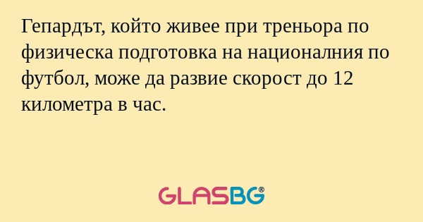 Гепардът, който живее при треньора по физическа подготовка на националния по футбол, може да развие скорост до 12 километра в час.