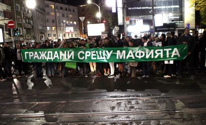Еколози организираха протест заради сеч на 20 дка на Витоша