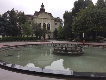 15-метрова елха за Коледа в Пловдив, правят фонтана пред Общината огромна сцена