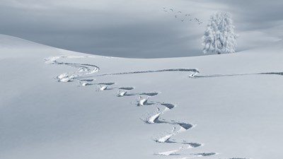 До 12 см достига снегът в Русенско
