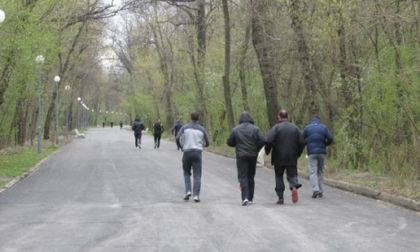 Залесяват