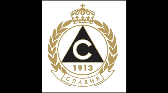 Славистите с декларация по случая с пребитата Цвети