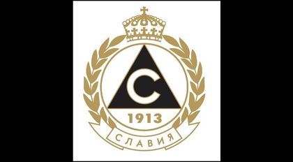 Славистите с декларация по случая с пребитата Цвети
