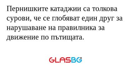 Пернишките катаджии са толкова...
