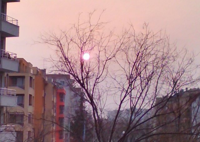 Слънцето изгря над Пловдив и заседна на дърво (СНИМКИ)