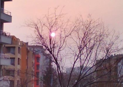 Слънцето изгря над Пловдив и заседна на дърво (СНИМКИ)