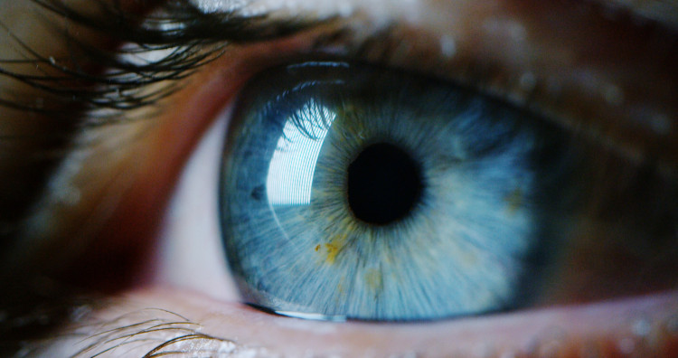 Ефективен тест за бърза проверка на зрението. Разберете дали имате нужда от офталмолог! (СНИМКА)