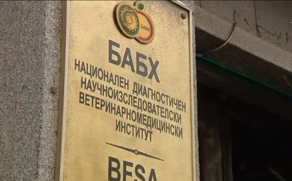 Дирекция „Контрол по храните” към БАБХ конфискува над  30 000 кг храни през август
