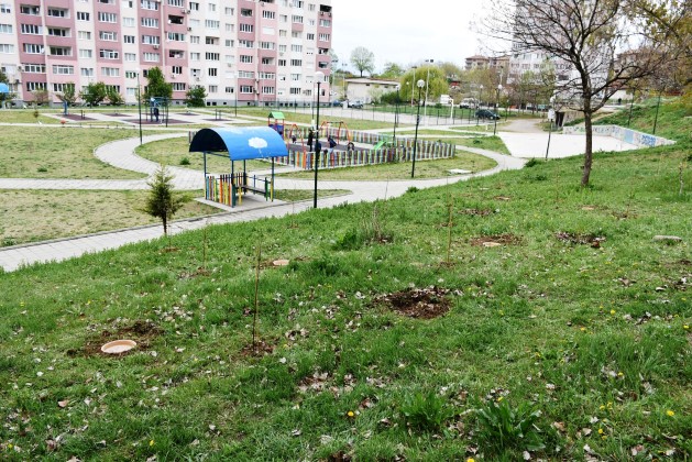 Благоевград: Градинка на биоразнообразието е изградена в парка в квартал „Еленово“
