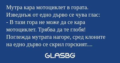 Мутра кара мотоциклет в гората...