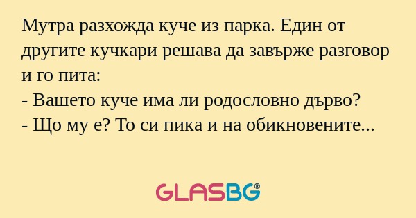 Мутра разхожда куче из парка. Един...