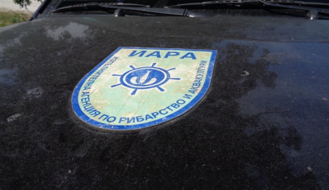 ПЪЛЕН АБСУРД! Глобиха доброволци срещу бракониери!