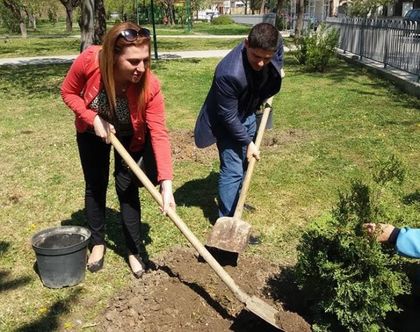 Младите в ГЕРБ садиха фиданки
