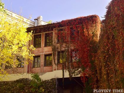 Спиращи дъха СНИМКИ, показват есенната красота на Пловдив