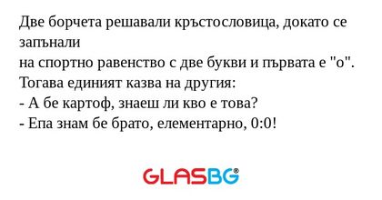 Две борчета решавали кръстословица...