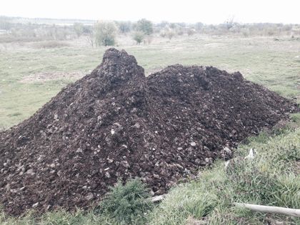Разкриха източника на миризмата на фекалии край Пловдив