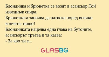 Блондинка и брюнетка се возят в...