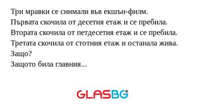 Три мравки се снимали във екшън-филм...