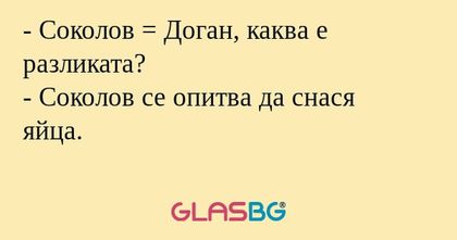Соколов = Доган, каква е разликата...