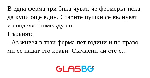 В една ферма три бика чуват, че...