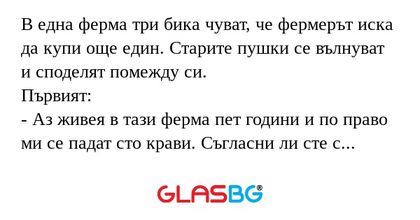 В една ферма три бика чуват, че...